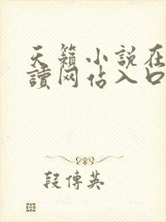 天籁小说在线阅读网站入口免费封面