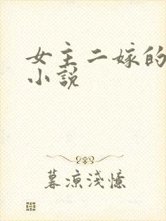 女主二嫁的古言小说