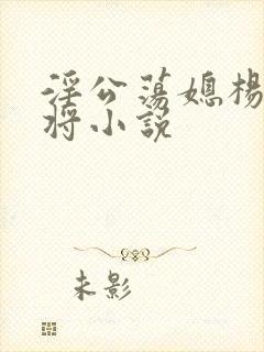 淫公荡媳杨门女将小说封面