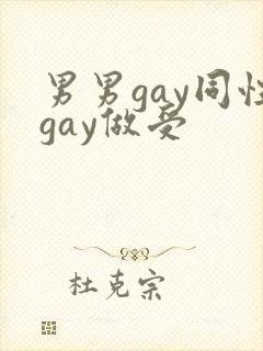 男男gay同性gay做受