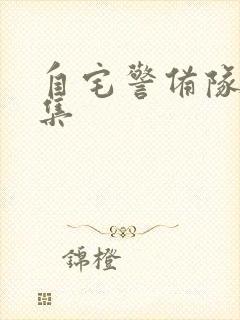 自宅警备队第三集