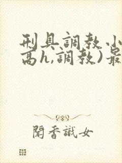 刑具调教小说(高h,调教)最新章节内容