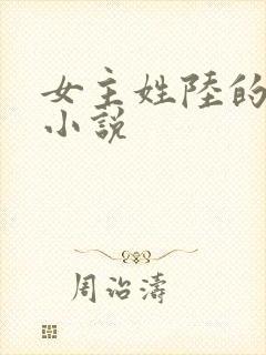 女主姓陆的现代小说