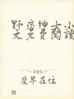 野痞绅士小说全文免费阅读