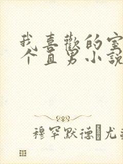 我喜欢的室友是个直男小说顾季安池