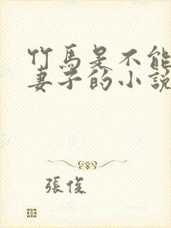竹马是不能成为妻子的小说免费阅读