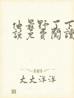 他最野了下册小说免费阅读