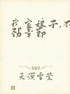 我家娘子,不对劲章节