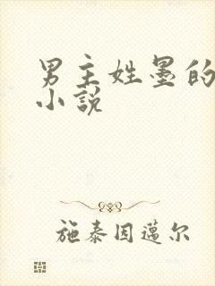 男主姓墨的总裁小说封面