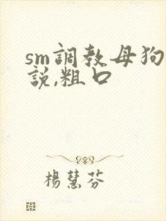 sm调教母狗小说,粗口封面