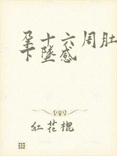 孕十六周肚子有下坠感封面