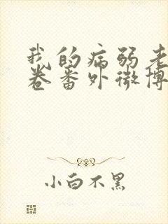 我的病弱老婆花卷番外微博