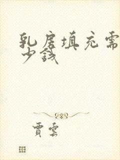 乳房填充需要多少钱