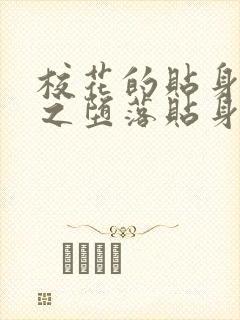 校花的贴身高手之堕落贴身校花小说封面