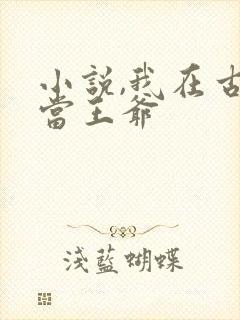 小说,我在古代当王爷