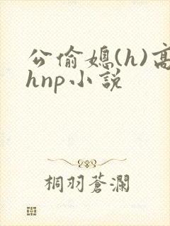 公偷媳(h)高hnp小说