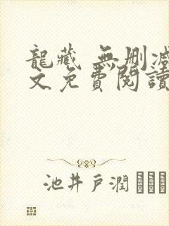 龙藏 无删减全文免费阅读封面