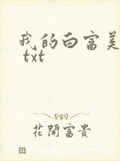 我的白富美老婆 txt封面