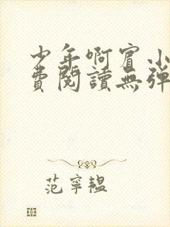 少年啊宾小说免费阅读无弹窗最新章节封面