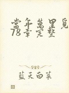 当年万里觅封侯78章完整