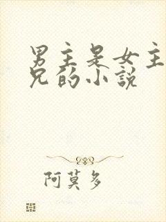 男主是女主的继兄的小说