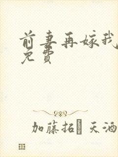 前妻再嫁我一次免费封面