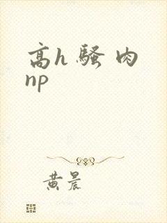高h 骚 肉 np