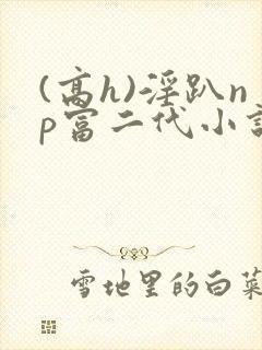 (高h)淫趴np富二代小说