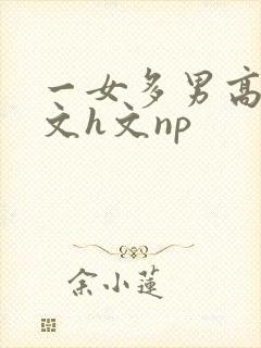 一女多男高辣h文h文np