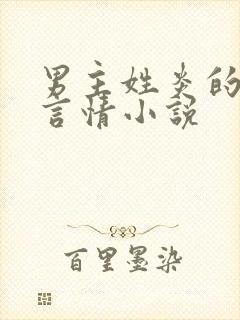 男主姓炎的现代言情小说