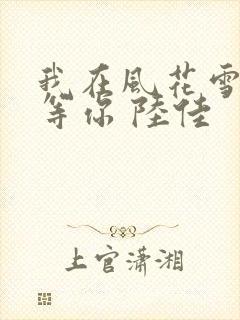 我在风花雪月里等你 陆佳