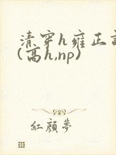 清穿h雍正调教(高h,np)