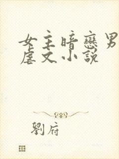 女主暗恋男主的虐文小说封面