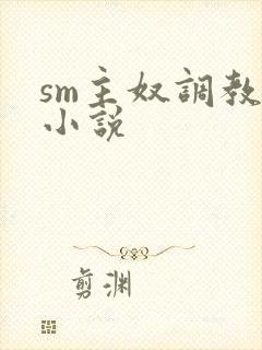 sm主奴调教文小说