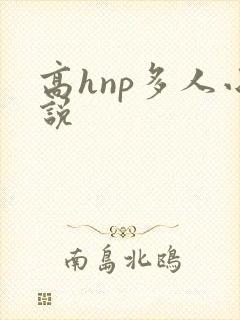 高hnp多人小说