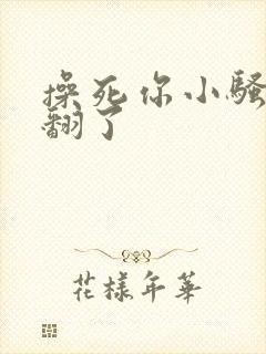 操死你小骚货爽翻了