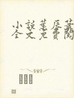 小说叶辰萧初然全文免费阅读封面