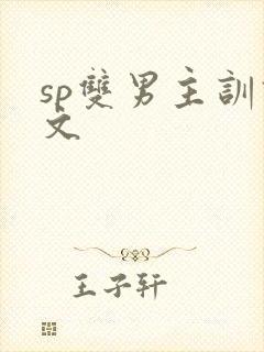 sp双男主训诫文封面