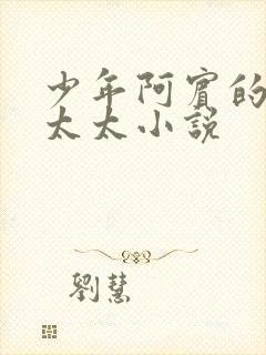 少年阿宾的房东太太小说