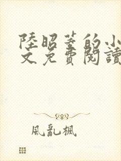 陆昭菱的小说全文免费阅读封面