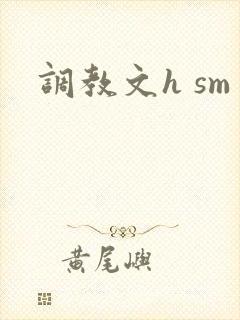 调教文h sm封面