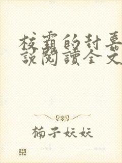 校霸的封嘉泽小说阅读全文