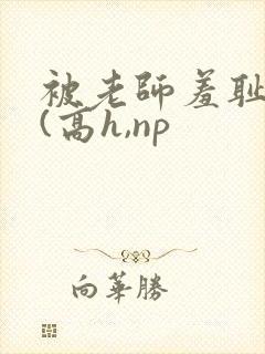 被老师羞耻调教(高h,np