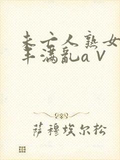 未亡人熟女人妻丰满乱a∨