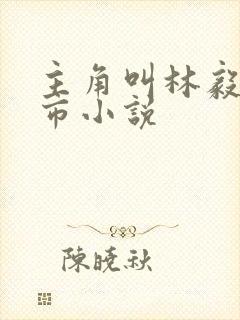 主角叫林毅的都市小说