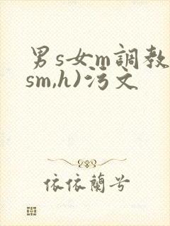 男s女m调教(sm,h)污文