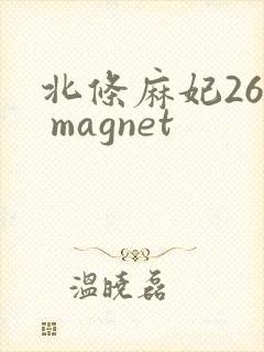 北条麻妃26部 magnet封面