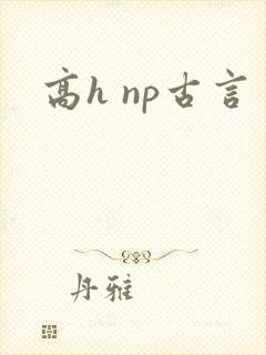 高h np古言