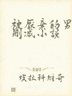 被厌弃的男妻无删减小说封面