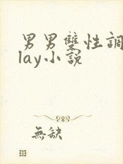 男男双性调教play小说封面